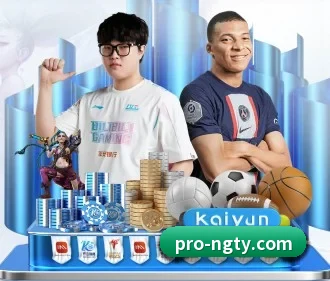 NG体育 APP